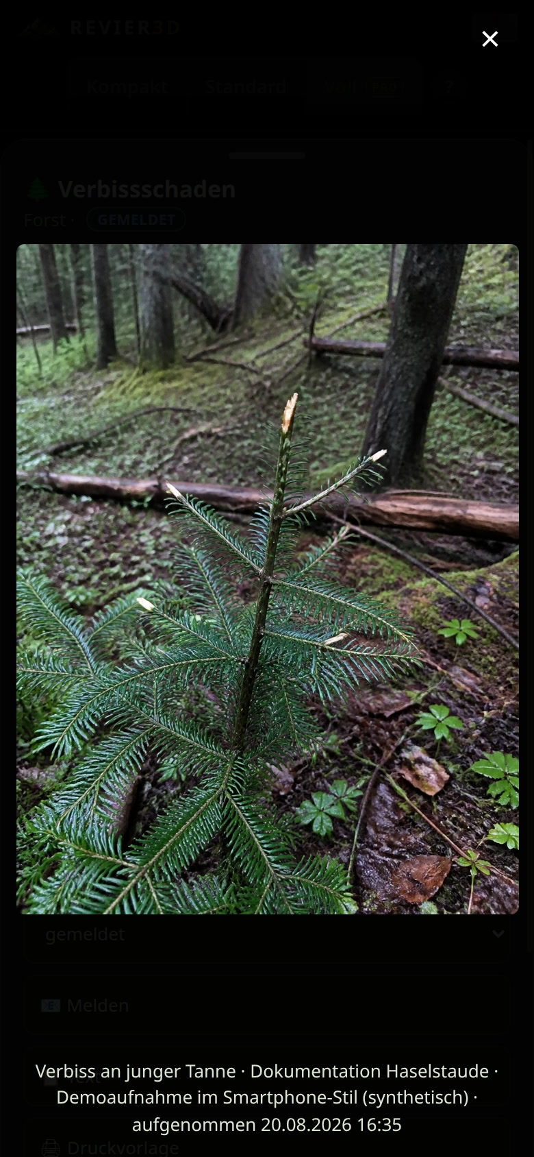 Damage, wildlife accidents and incidents